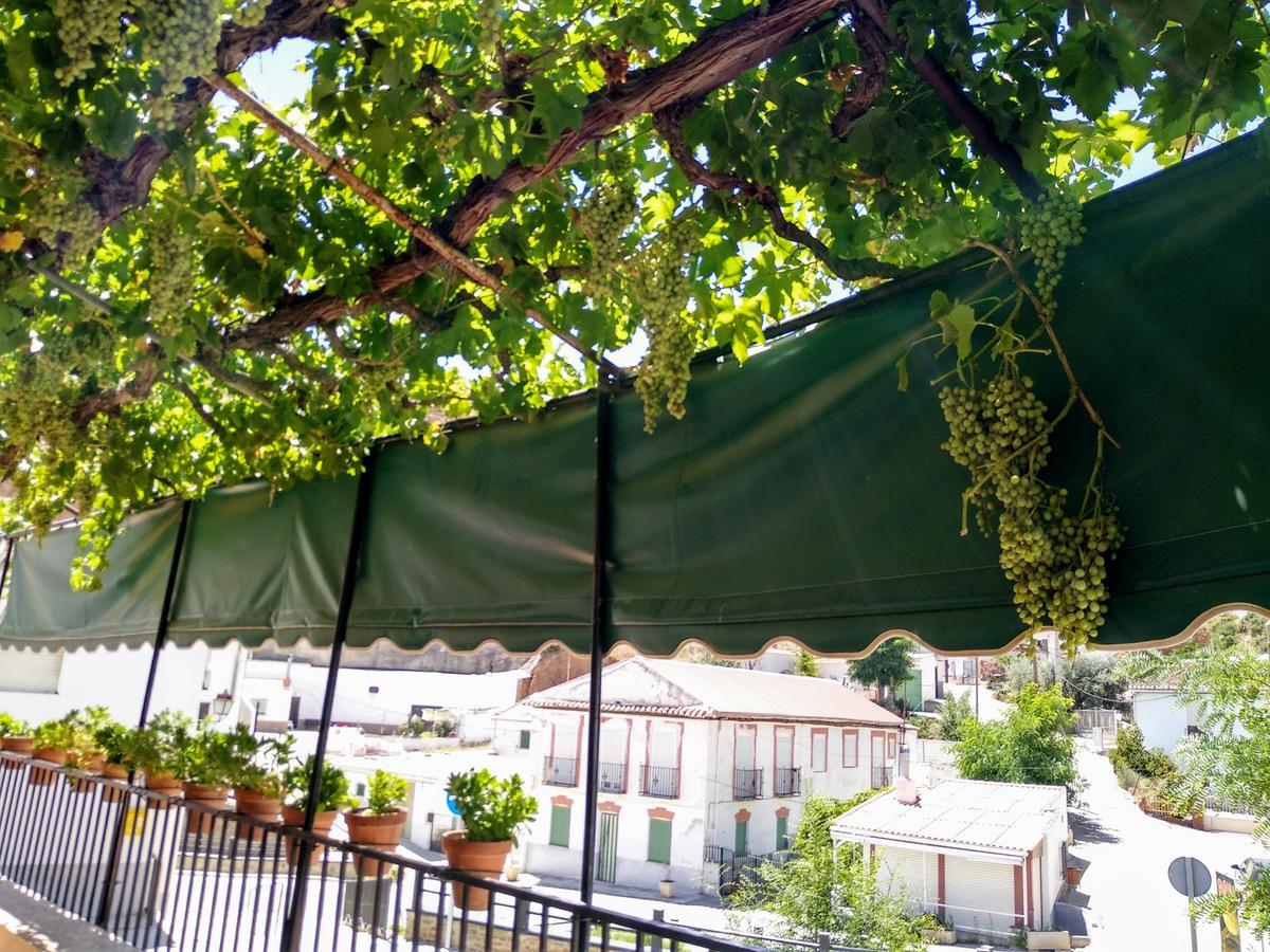 Pension Mari Graena Exterior foto
